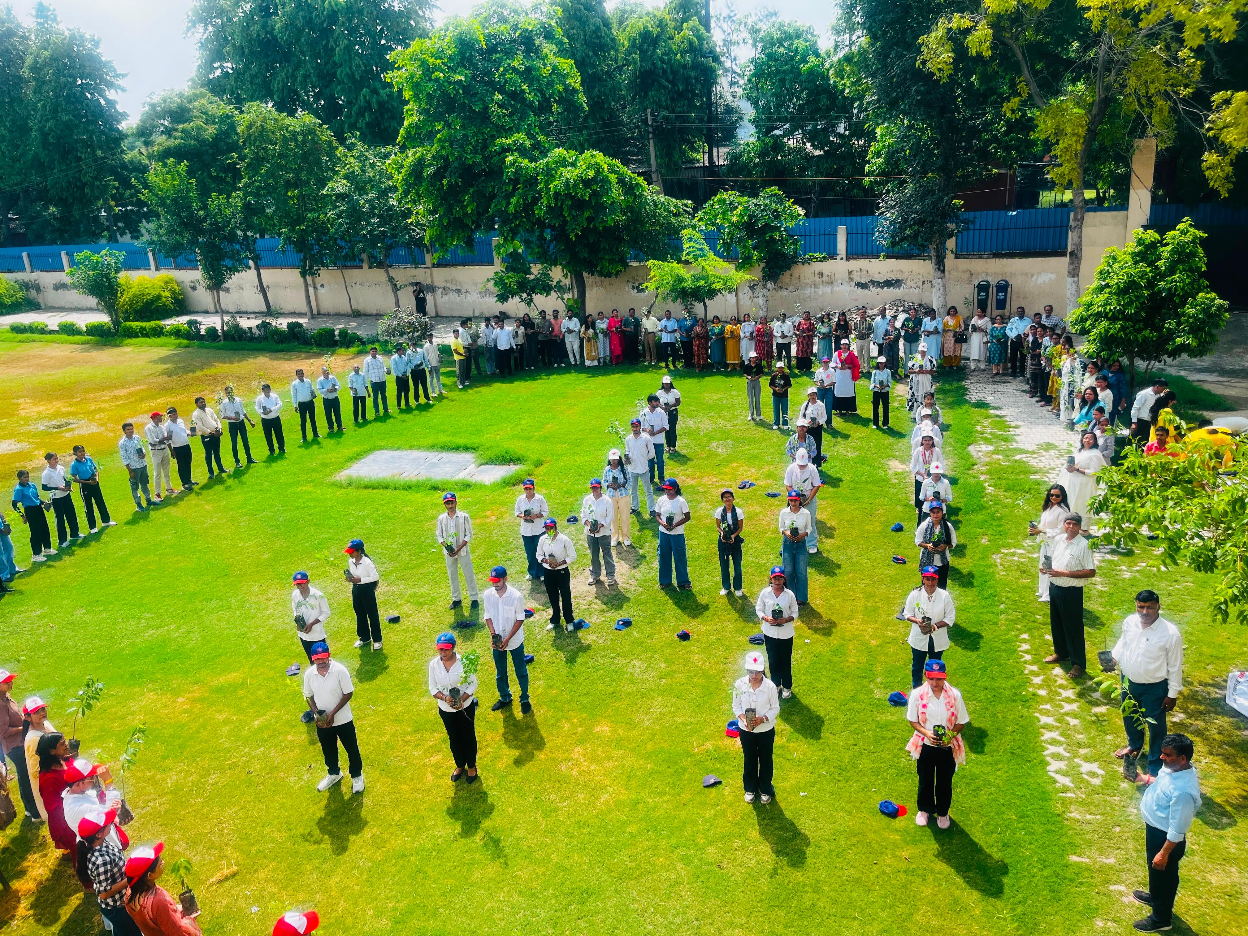 Quiz Image 2